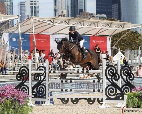 jumper Bangle Sr (Holsteiner, 2009, from Chin Chin)