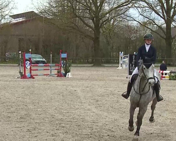 Reitturnier Rot am See- Musdorf 2025