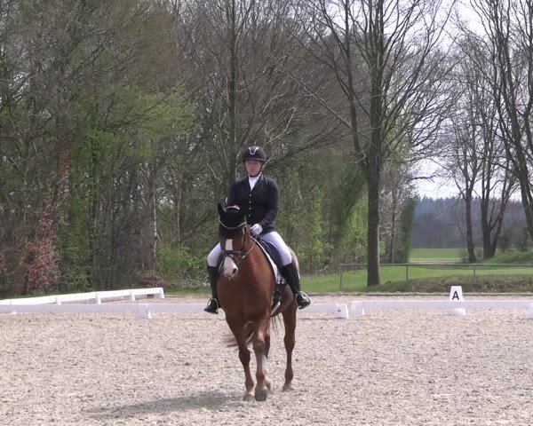 Reitturnier Elmlohe 2025