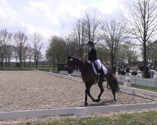 Reitturnier Elmlohe 2025