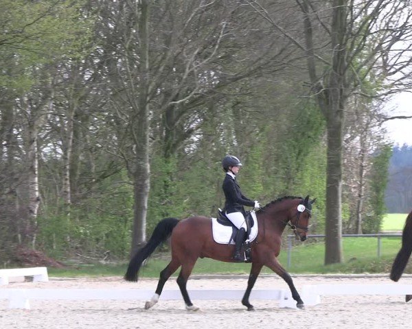 Reitturnier Elmlohe 2025