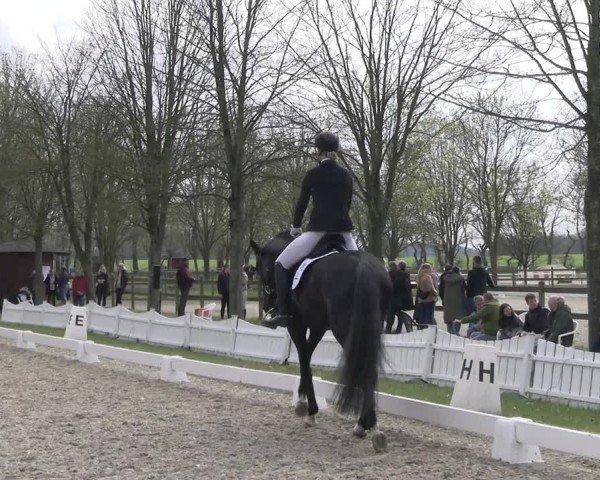 Reitturnier Elmlohe 2025