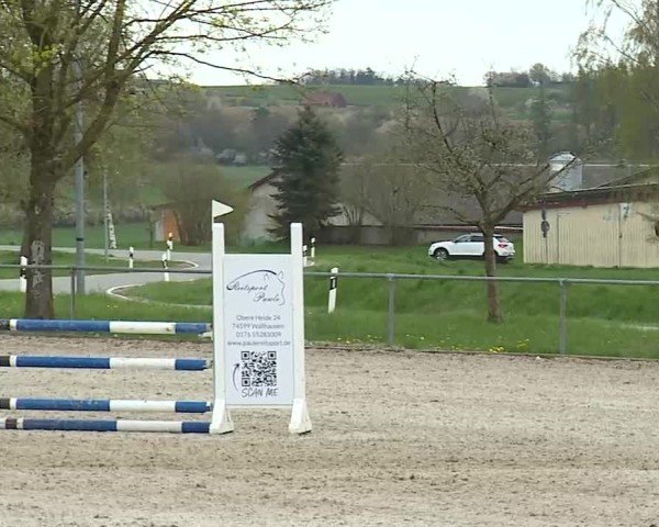 Reitturnier Rot am See- Musdorf 2025