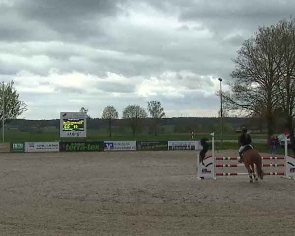 Reitturnier Rot am See- Musdorf 2025