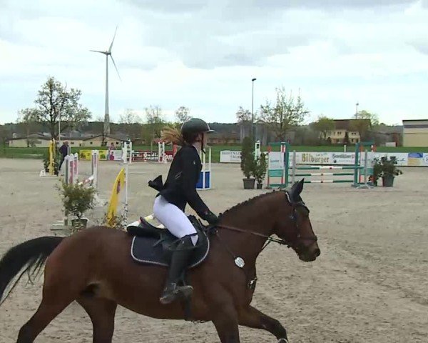 Reitturnier Rot am See- Musdorf 2025