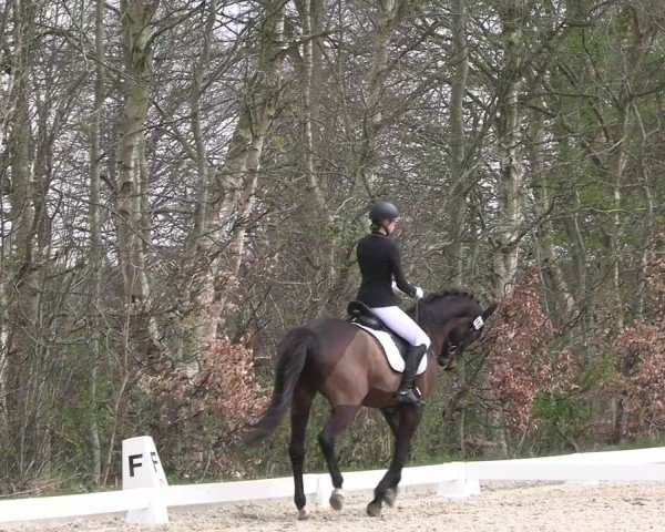 Reitturnier Elmlohe 2025
