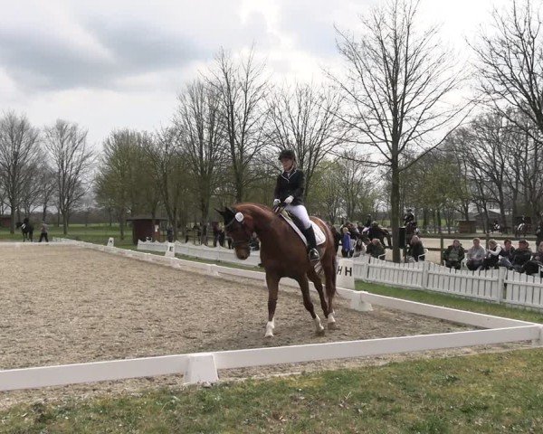 Reitturnier Elmlohe 2025