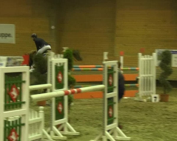 Paderborn 2013
