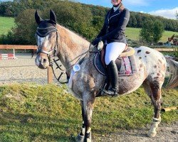 dressage horse High Rollin Tardy (unknown, 2011)