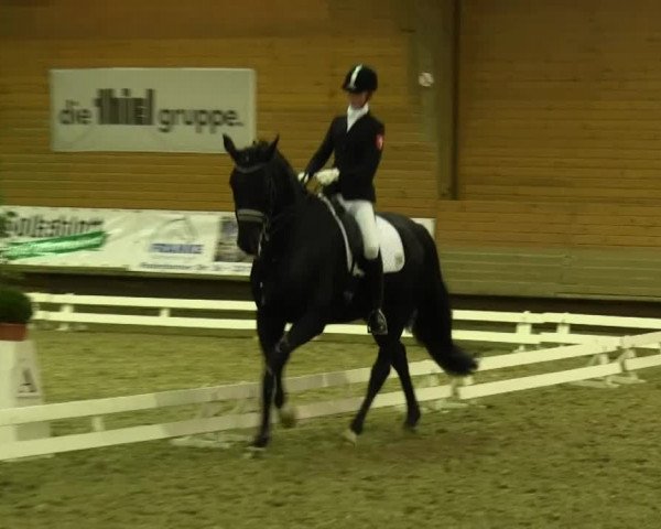 Paderborn 2013
