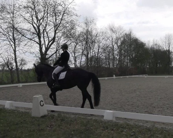 Reitturnier Elmlohe 2025