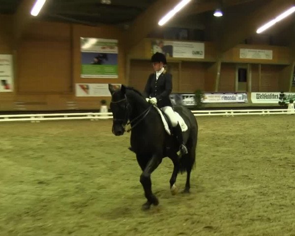 Paderborn 2013