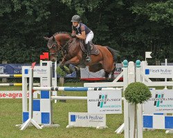 jumper Cute Lord (Holsteiner, 2013, from Casall Ask)