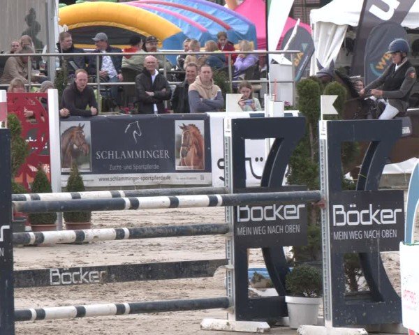 Lenklarer Reitertage Werne 2025