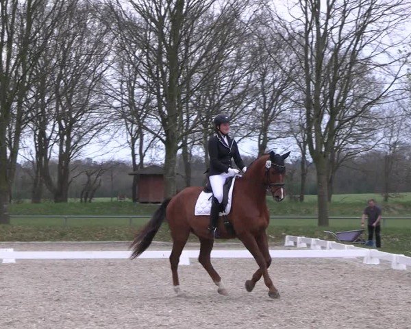 Reitturnier Elmlohe 2025