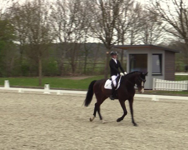Reitturnier Elmlohe 2025