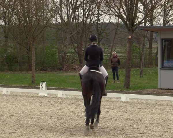 Reitturnier Elmlohe 2025