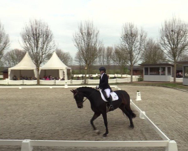 Reitturnier Elmlohe 2025