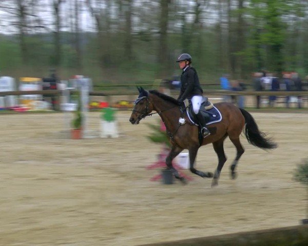 Reitturnier Rhede 2025