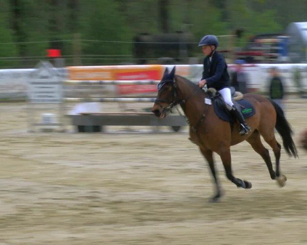 Reitturnier Rhede 2025