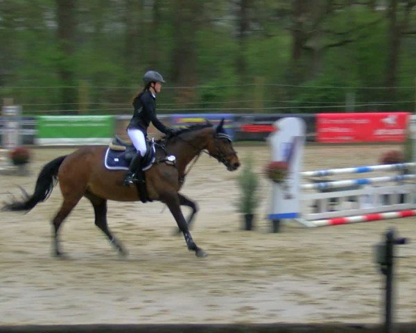 Reitturnier Rhede 2025