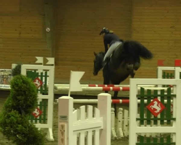 Reitturnier Paderborn 2013