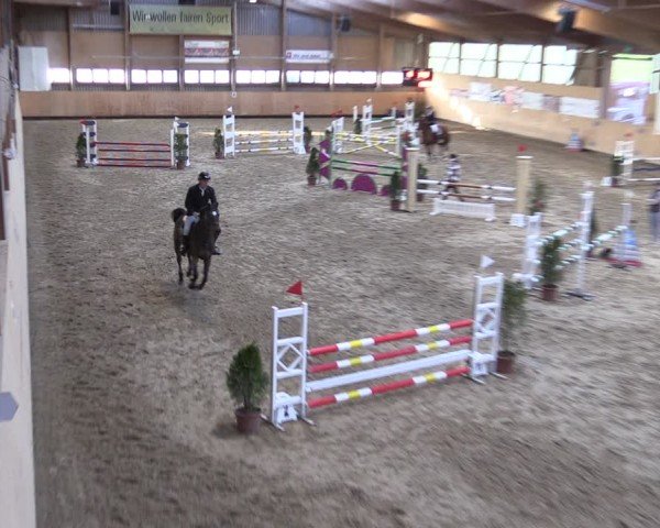 Reitturnier Fehraltorf 2025