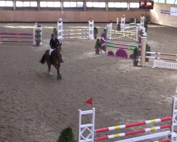 Reitturnier Fehraltorf 2025
