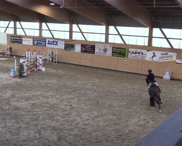 Reitturnier Fehraltorf 2025