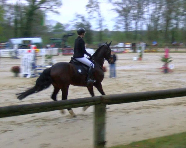 Reitturnier Rhede 2025