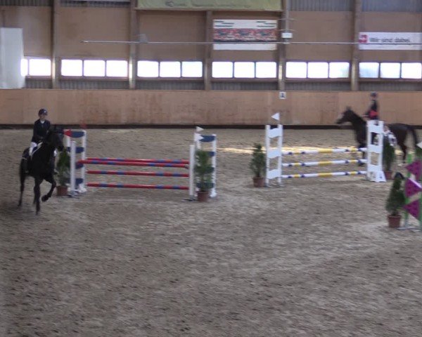 Reitturnier Fehraltorf 2025