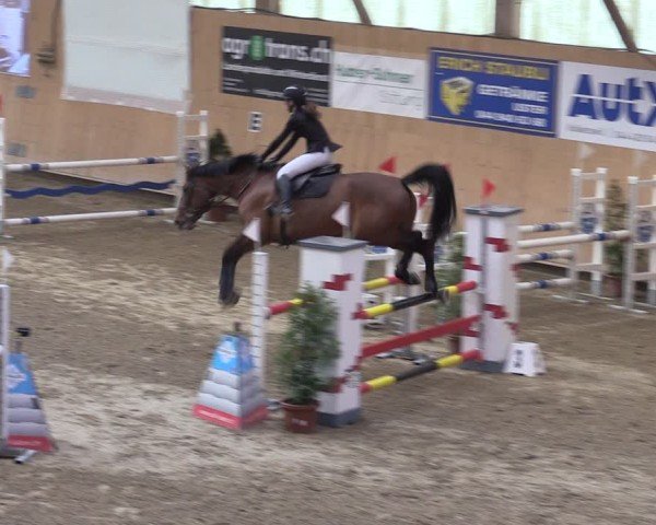 Reitturnier Fehraltorf 2025
