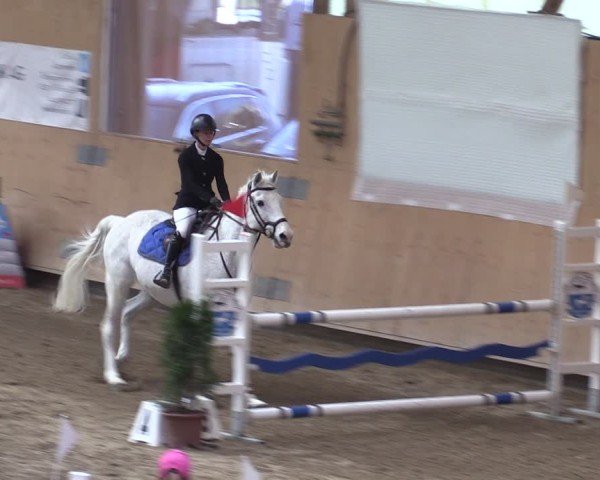 Reitturnier Fehraltorf 2025