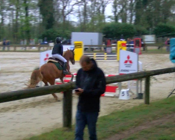 Reitturnier Rhede 2025