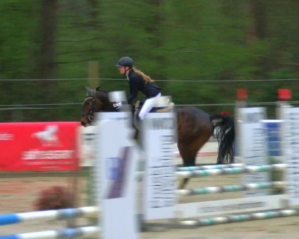 Reitturnier Rhede 2025