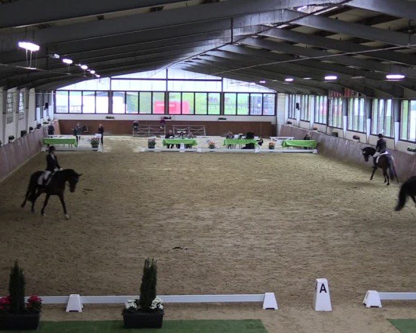 Reitturnier Werne-Lenklar 2025