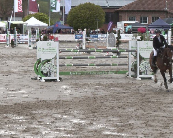 Reitturnier Werne-Lenklar 2025