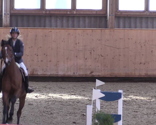 Reitturnier Fehraltorf 2025