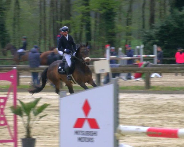 Reitturnier Rhede 2025