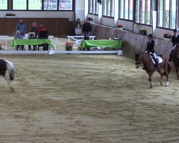 Reitturnier Werne-Lenklar 2025
