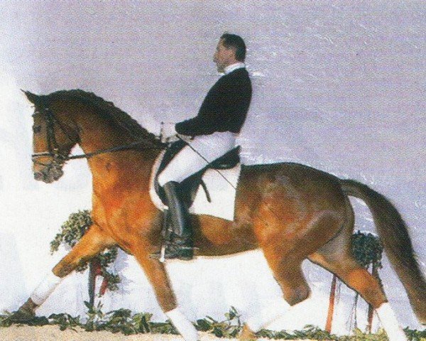 horse Walanca (Hanoverian, 1997, from Weltfriede)