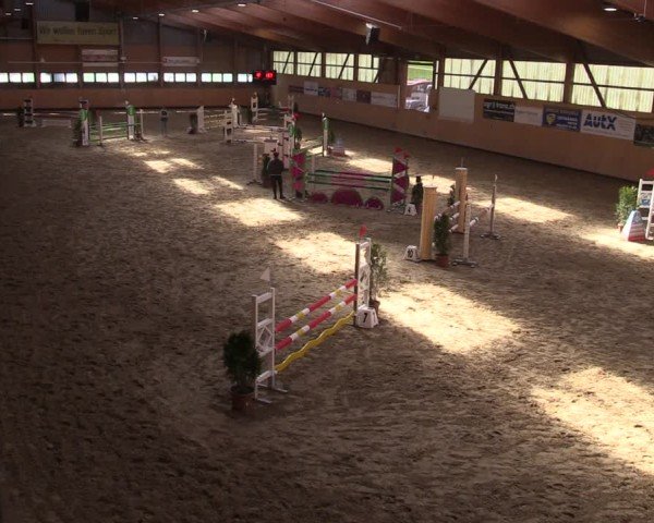 Reitturnier Fehraltorf 2025