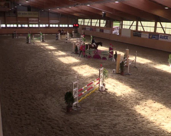 Reitturnier Fehraltorf 2025