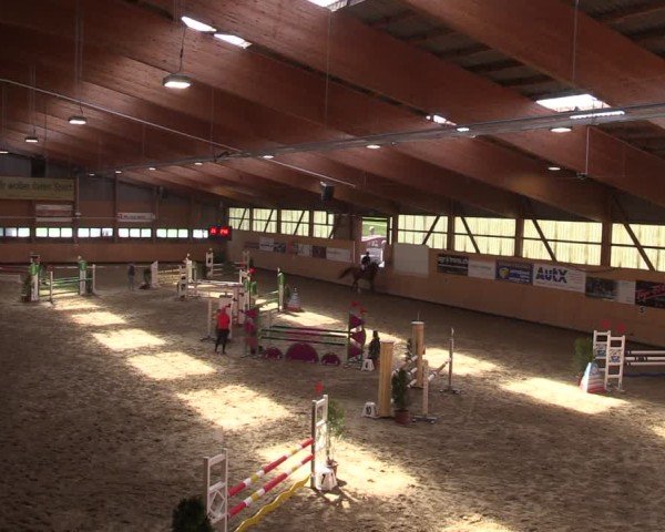 Reitturnier Fehraltorf 2025