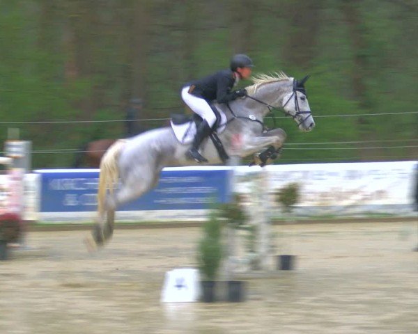 Reitturnier Rhede 2025