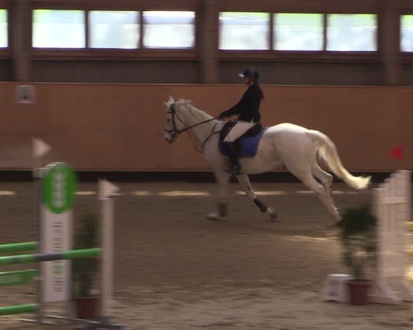 Reitturnier Fehraltorf 2025