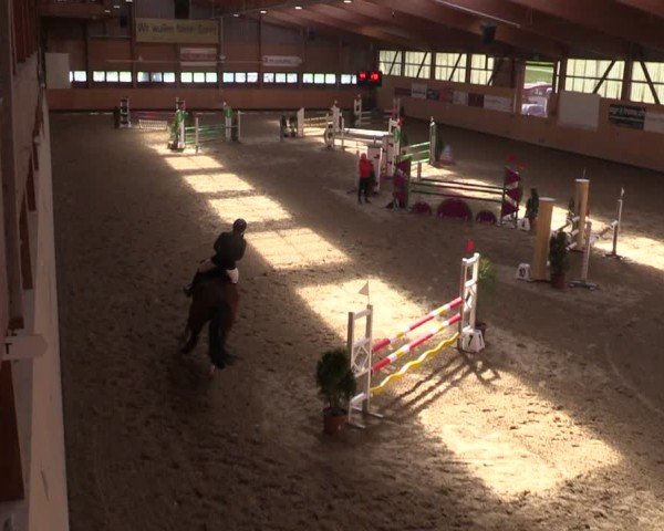 Reitturnier Fehraltorf 2025