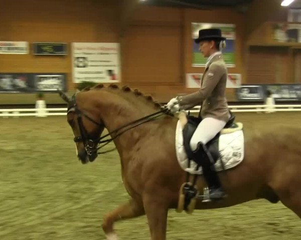Paderborn 2013