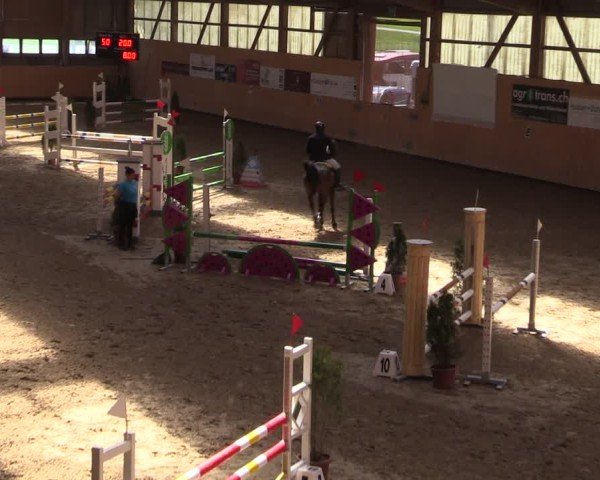 Reitturnier Fehraltorf 2025