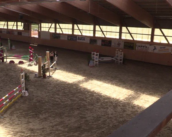Reitturnier Fehraltorf 2025